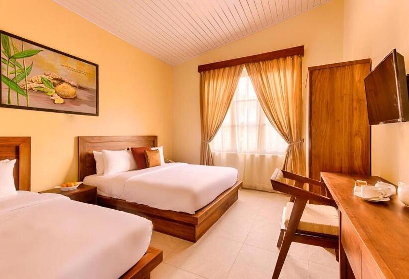 Quarto Familiar Superior, Spice Ella