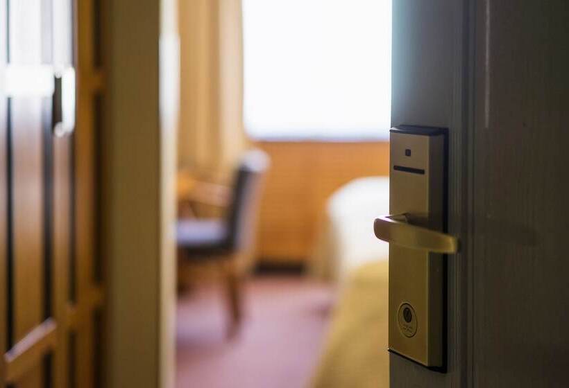 Номер Стандарт Индивидуальный, Penzion Homer Poděbrady