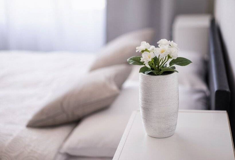 Номер Стандарт, Penzion Homer Poděbrady