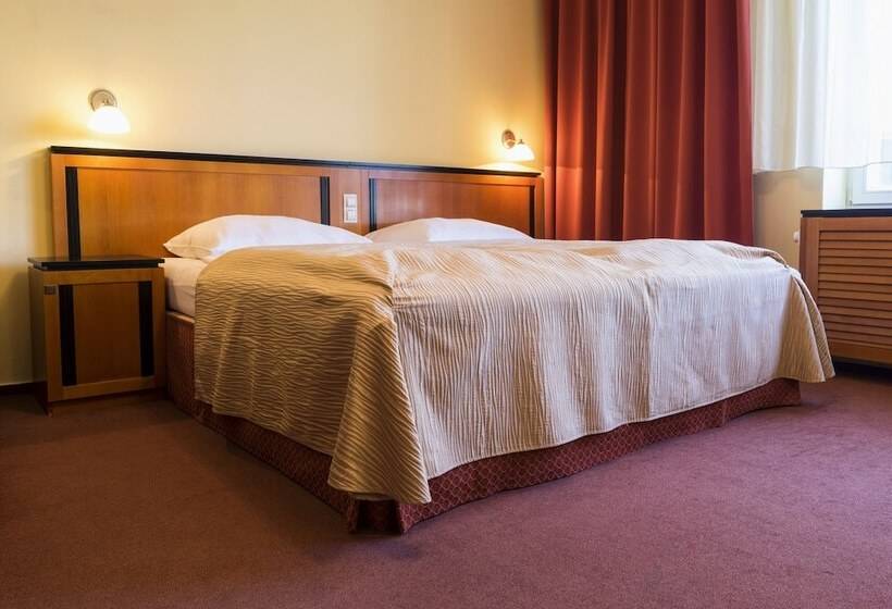 Номер Стандарт, Penzion Homer Poděbrady