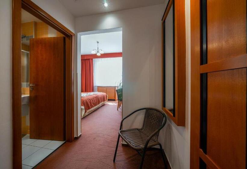 Номер Стандарт, Penzion Homer Poděbrady