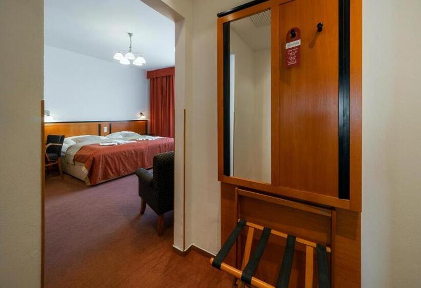 Номер Superior с Балконом, Penzion Homer Poděbrady