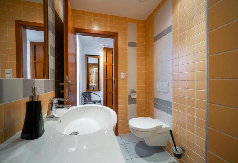 Номер Стандарт, Penzion Homer Poděbrady