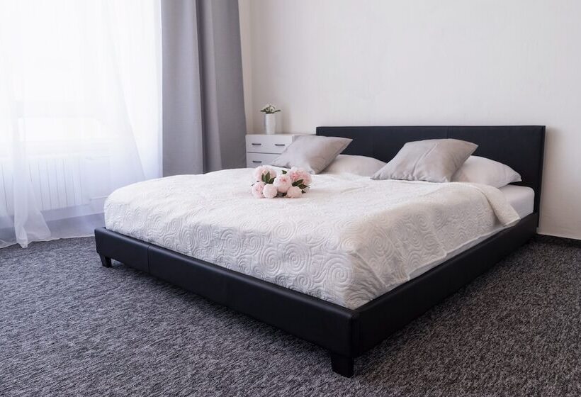 Номер Стандарт, Penzion Homer Poděbrady