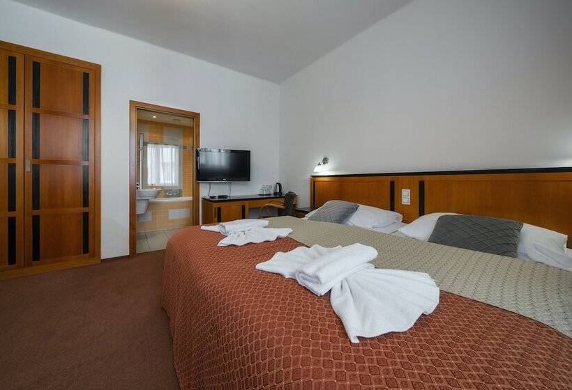 Номер Стандарт, Penzion Homer Poděbrady