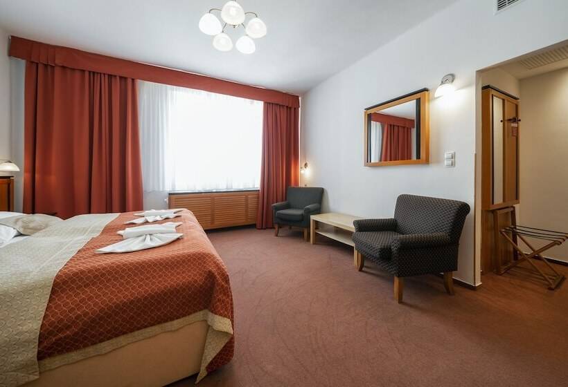 Номер Стандарт, Penzion Homer Poděbrady