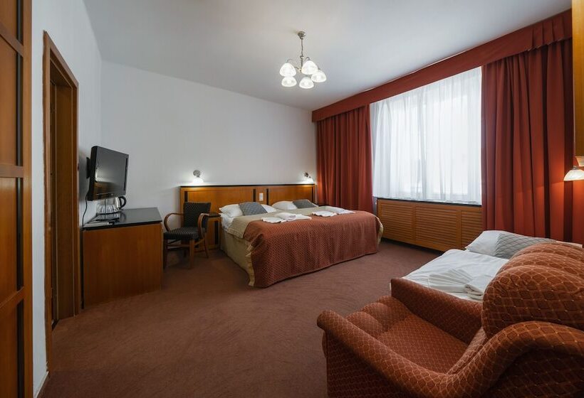 Номер Стандарт, Penzion Homer Poděbrady