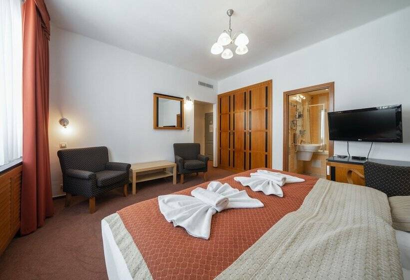 Номер Стандарт, Penzion Homer Poděbrady