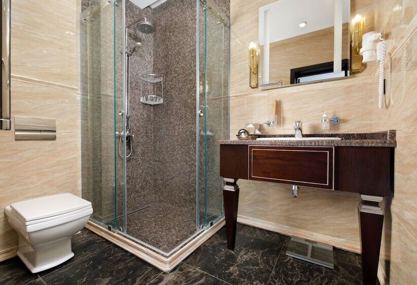 Номер Стандарт, Park Rodnik Otel