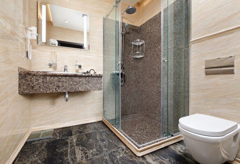 חדר סטנדרט, Park Rodnik Otel