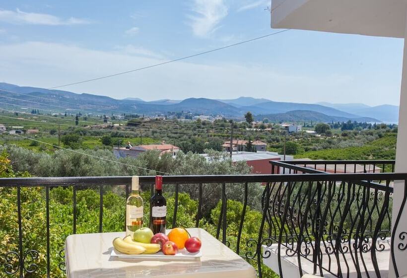 חדר אקונומי, Orelia Pension