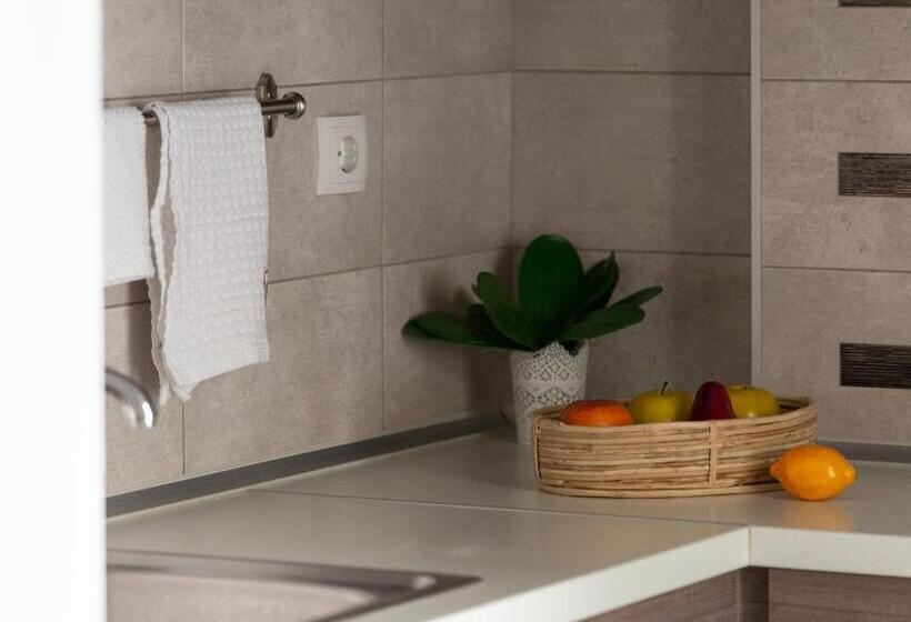 סטודיו משפחתי, Tsamakdas House