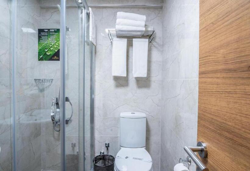 اتاق اکونومی, Carlton Hotel Old City