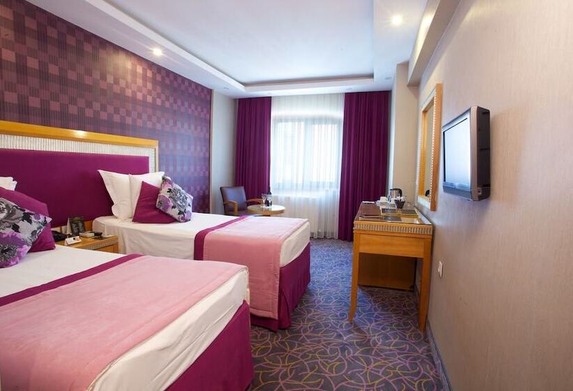 اتاق استاندارد, Carlton Hotel Old City