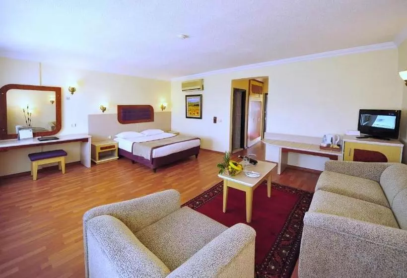 اتاق راحتی, Dinler Hotels Urgup