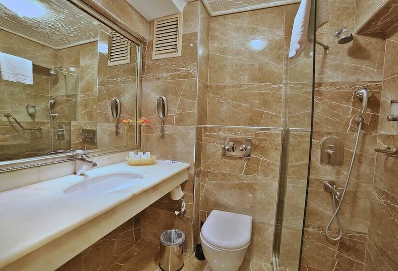 اتاق استاندارد سه نفره, Grand Anka