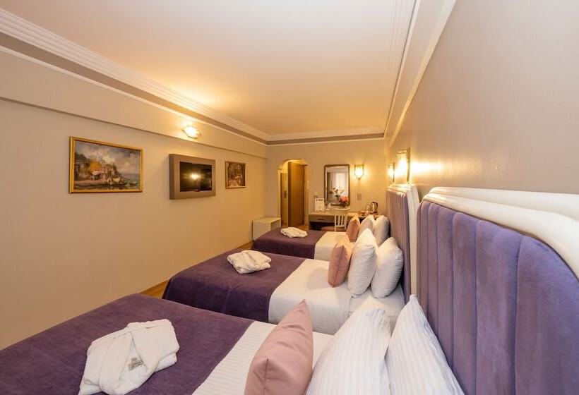 اتاق استاندارد سه نفره, Grand Anka