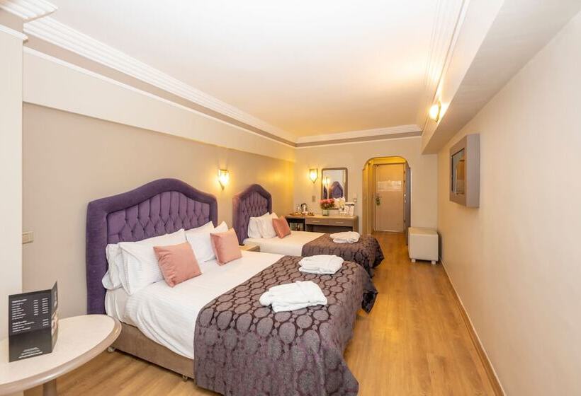 اتاق استاندارد سه نفره, Grand Anka