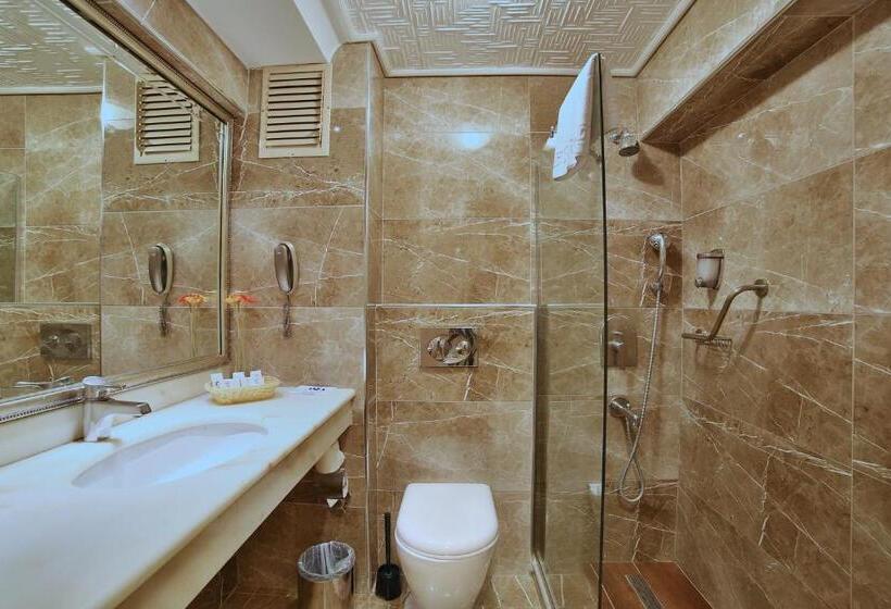 اتاق استاندارد یک نفره, Grand Anka