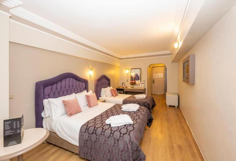 اتاق استاندارد سه نفره, Grand Anka