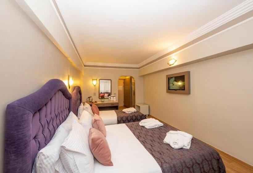 اتاق استاندارد سه نفره, Grand Anka