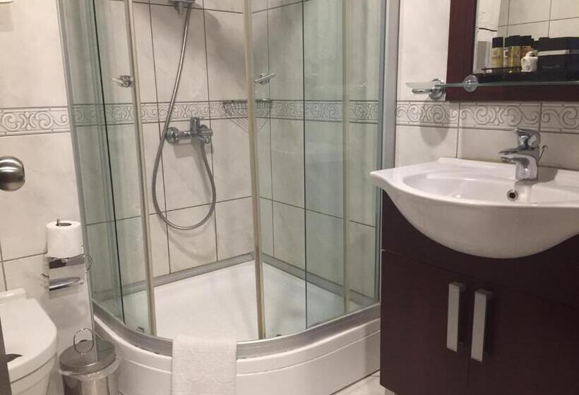 اتاق استاندارد, Taksim Gonen