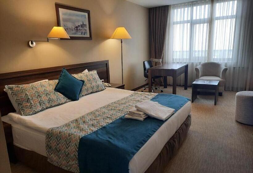 اتاق سوپریور, Plaza Hotel Diyarbakir