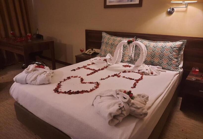 اتاق سوپریور, Plaza Hotel Diyarbakir