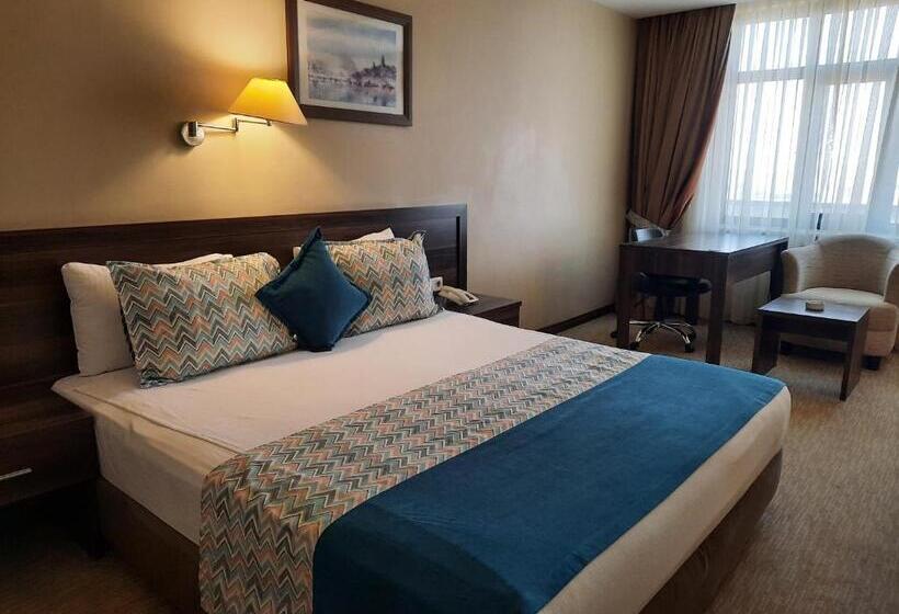 اتاق سوپریور, Plaza Hotel Diyarbakir