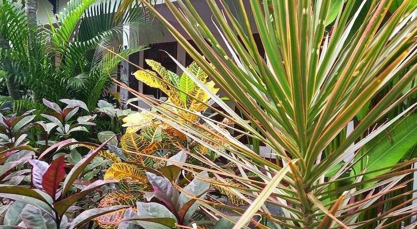 חדר סטנדרט, Gili Welldone Guesthouse