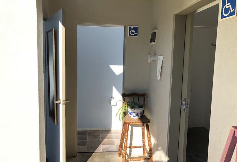 공용 욕실 구비 공동 객실 내의 침대, Almond House Hostel