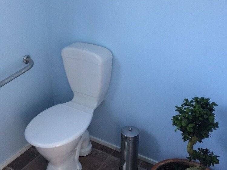 공용 욕실 구비 공동 객실 내의 침대, Almond House Hostel