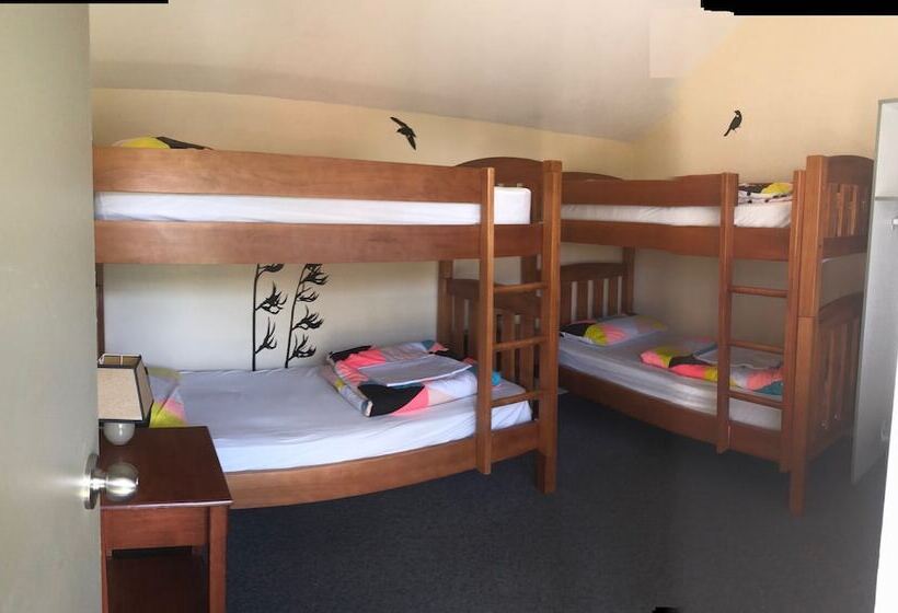 공용 욕실 구비 공동 객실 내의 침대, Almond House Hostel