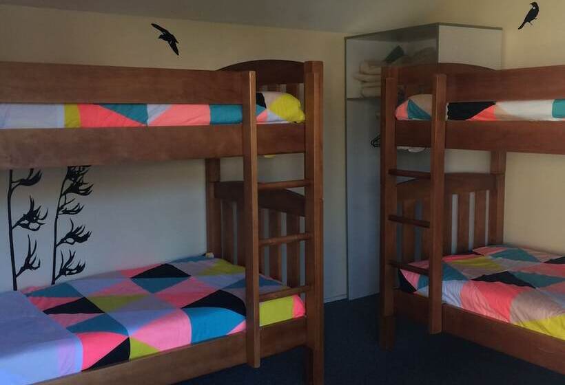 공용 욕실 구비 공동 객실 내의 침대, Almond House Hostel