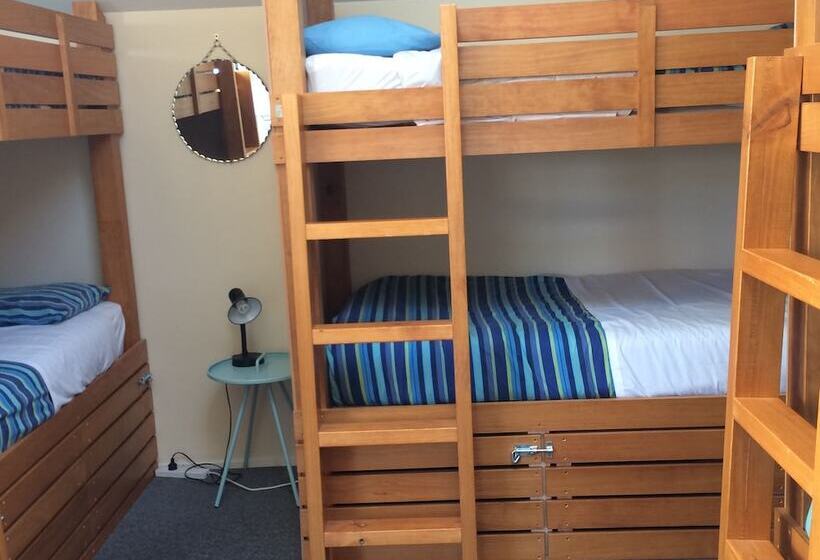 공용 욕실 구비 공동 객실 내의 침대, Almond House Hostel
