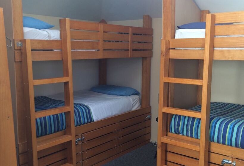 공용 욕실 구비 공동 객실 내의 침대, Almond House Hostel