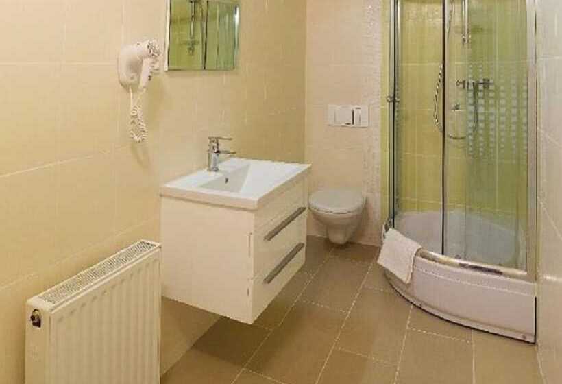 スタンダードシングルルーム, Partyzán