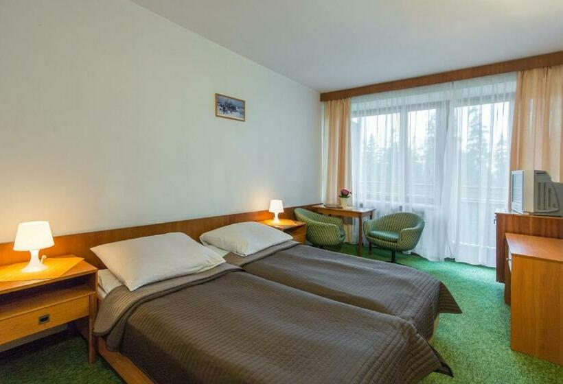 اتاق استاندارد با چشمانداز کوهستان, Zespół Tatry   Hotel Tatry I Budynek Turystyczny