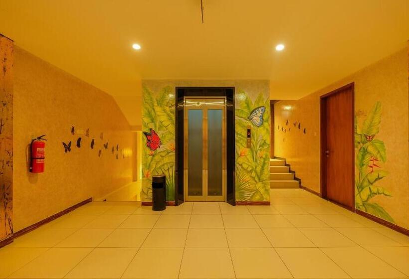 Quarto Superior, Papillon Echobeach