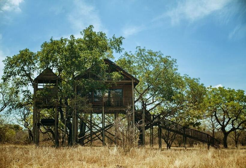 Дом 1 Спальня, Pezulu Tree House Lodge