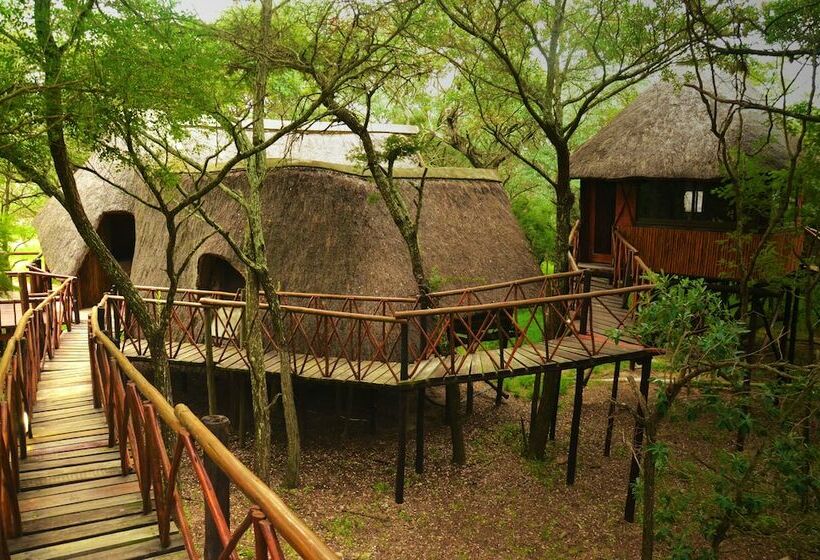 منزل غرفة نوم واحدة, Pezulu Tree House Lodge