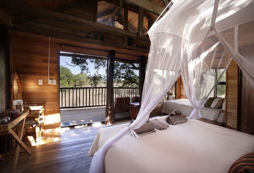 منزل غرفة نوم واحدة, Pezulu Tree House Lodge