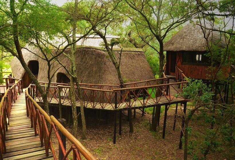 Дом 1 Спальня, Pezulu Tree House Lodge