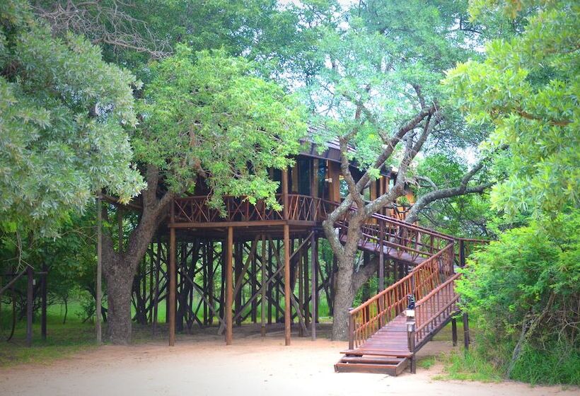 منزل غرفة نوم واحدة, Pezulu Tree House Lodge
