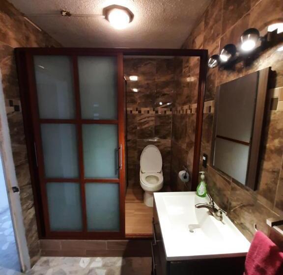 اتاق خانوادگی, San Antonio Guanajuato