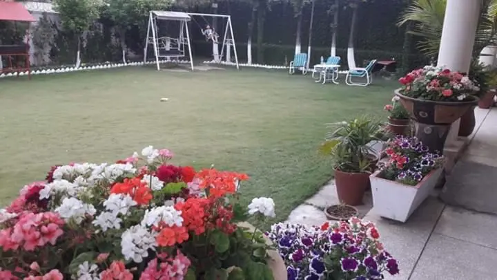 اتاق اکونومی, Alaf Laila Guest House