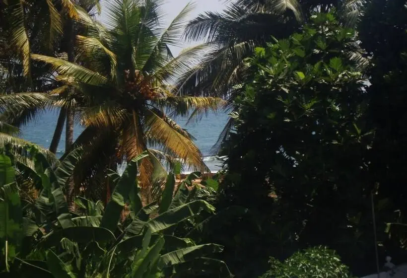 トリプルクラシックルーム, Southern Comforts  Galle Fort