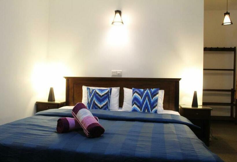 غرفة قياسية, Dewdrops At Lake Gregory