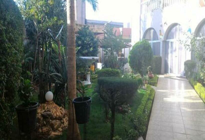 سوئیت جونیور با تراس, Residence Diane