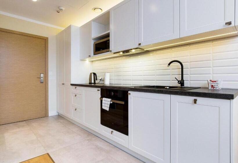 דירת חדר דלוקס, Cracow Riverside Apart